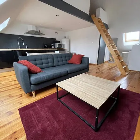 Appartement Style Loft Au Pied Du Tramway